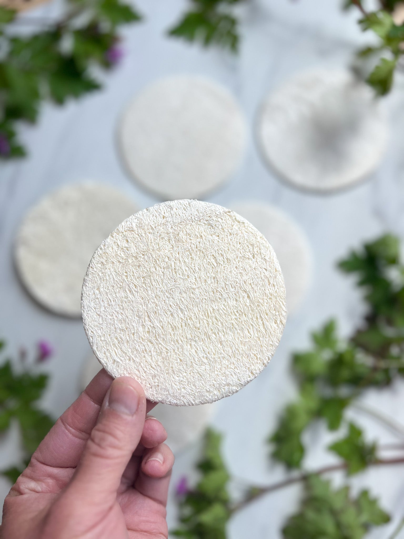 Fawn Lily Botanica | Luffa Loofah Facial Sponge Disc - soft, sustainable USA grown, exfoliating cleansing tool