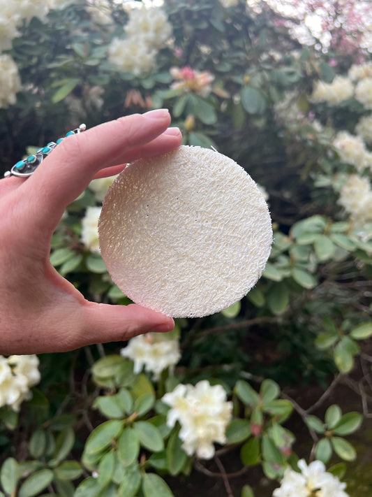 Fawn Lily Botanica | Luffa Loofah Facial Sponge - soft, USA grown, sustainable and organic, eco exfoliation tool