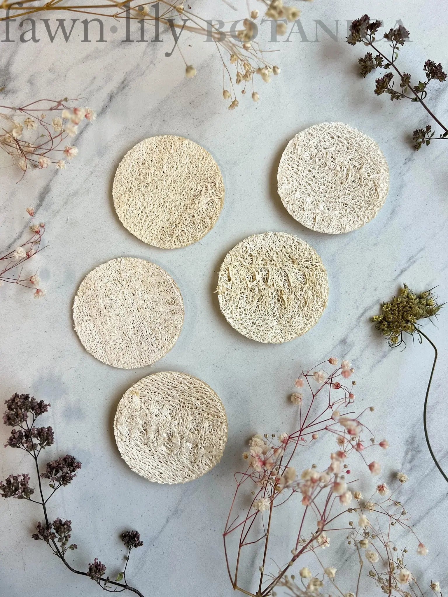 Luffa Facial Sponge 2.25