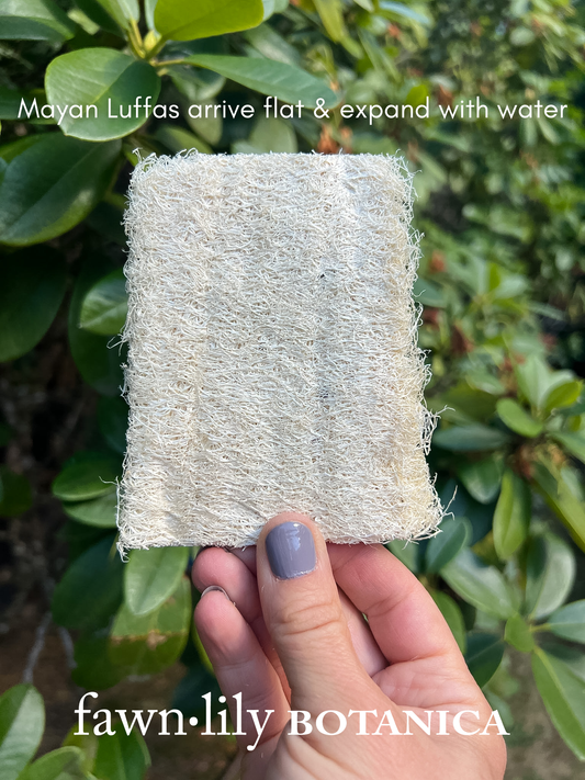 Fawn Lily Botanica | Mayan Loofah Bath Sponge