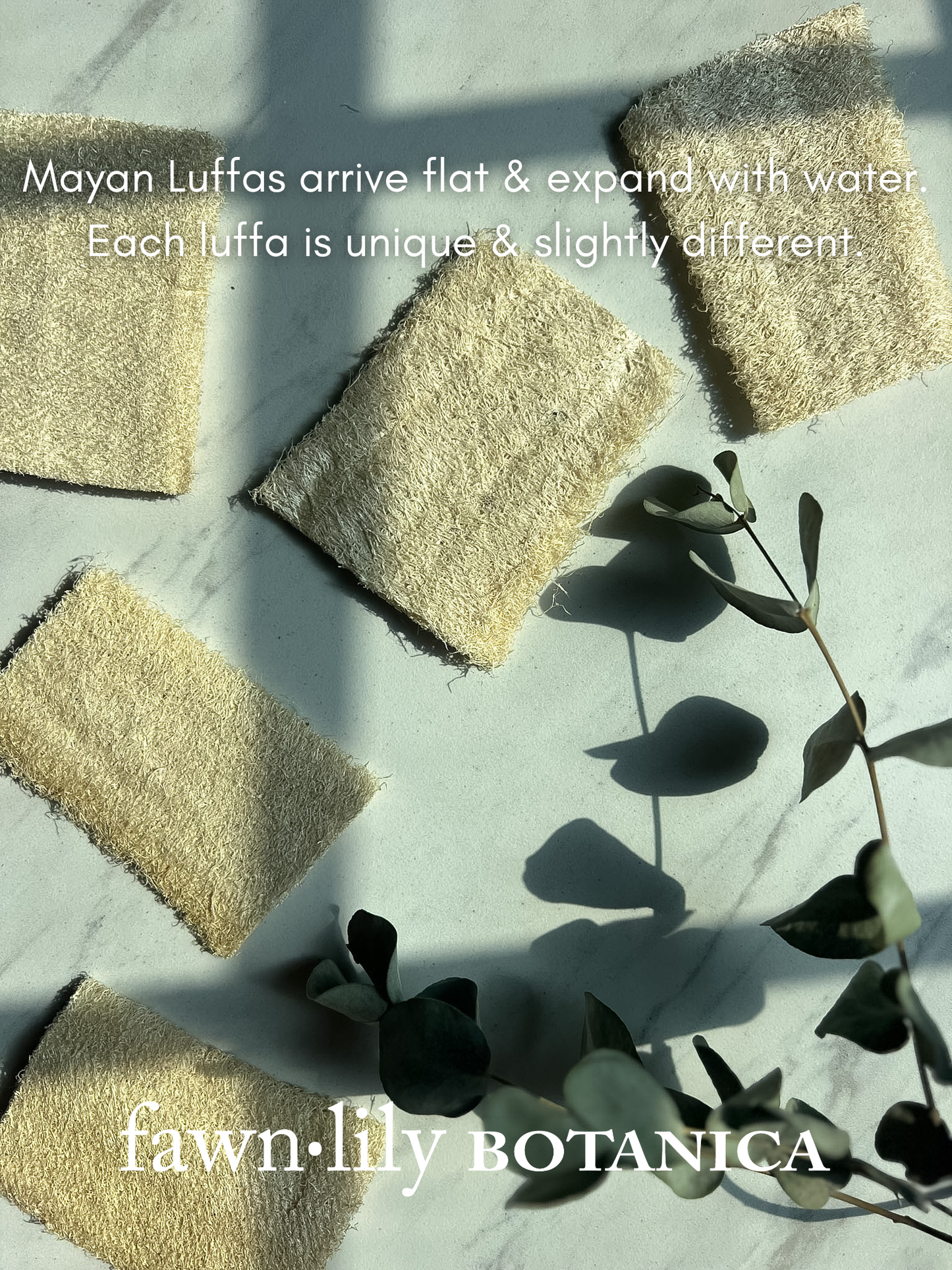 Fawn Lily Botanica | Mayan Luffa Bath Sponge, Plastic-free, eco friendly, biodegradable