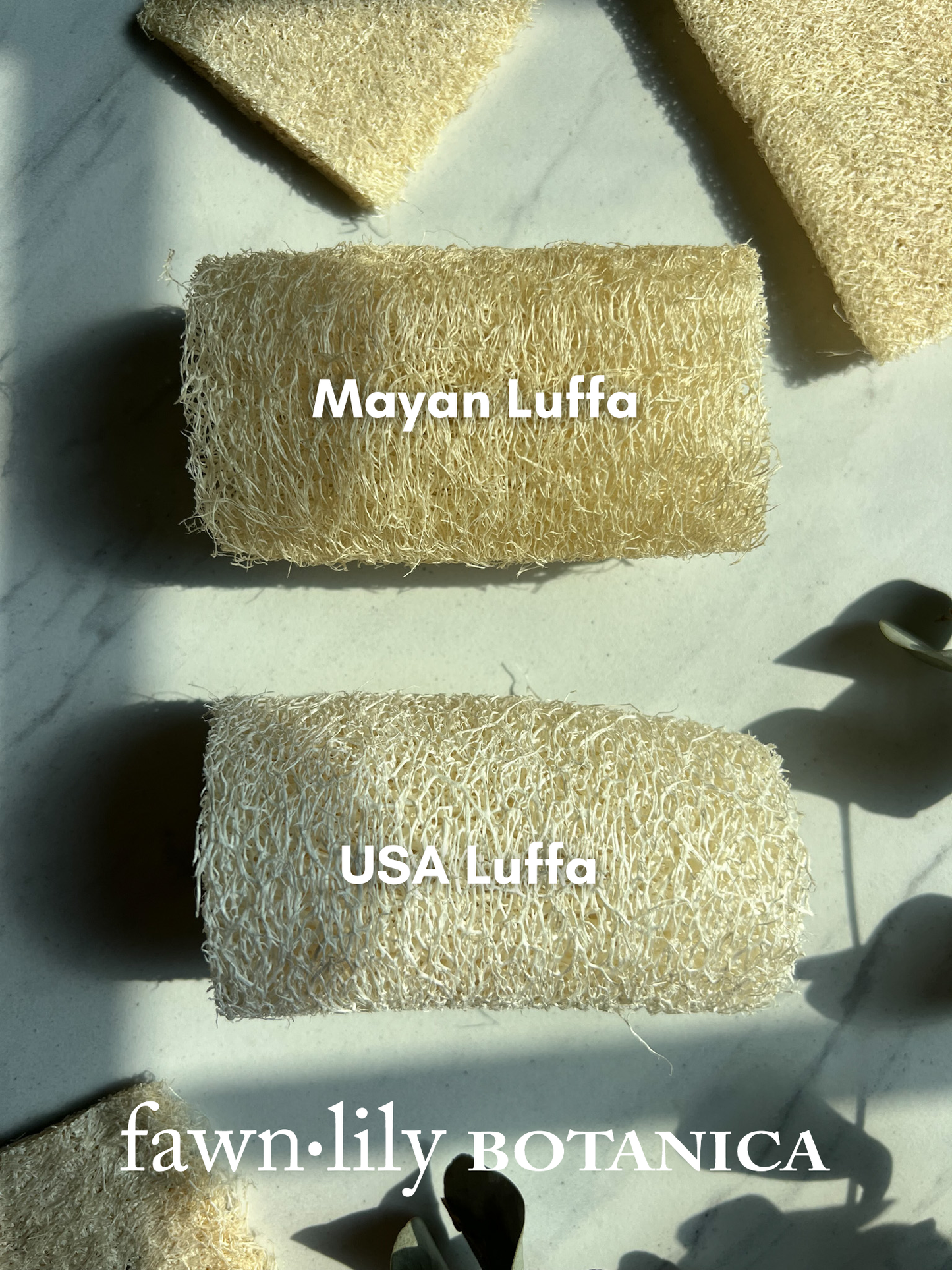 Fawn Lily Botanica | Organic USA Grown and Mayan Luffa Bath Sponges, difference comparison