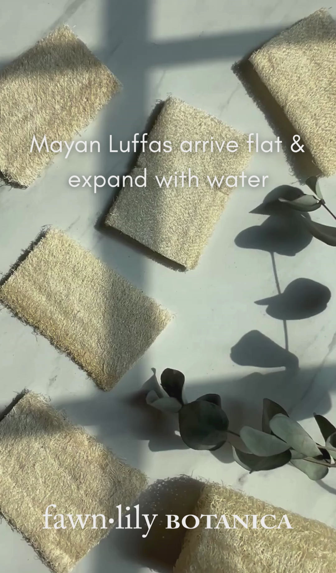 Fawn Lily Botanica | Heirloom Mayan Loofah Bath Sponges, Video
