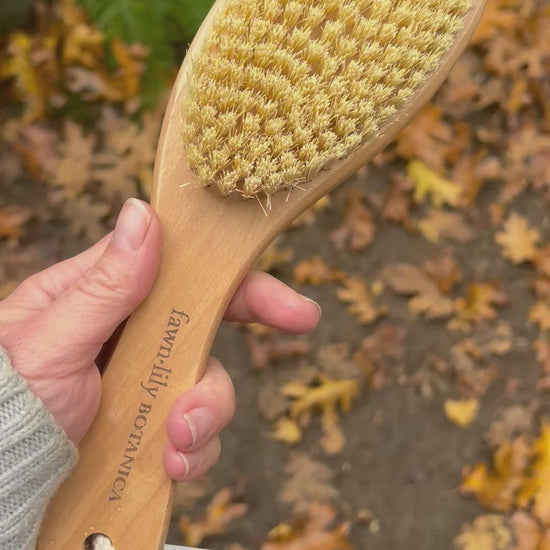 Fawn Lily Botanica | Lotus Wood and Sisal Dry Brush video