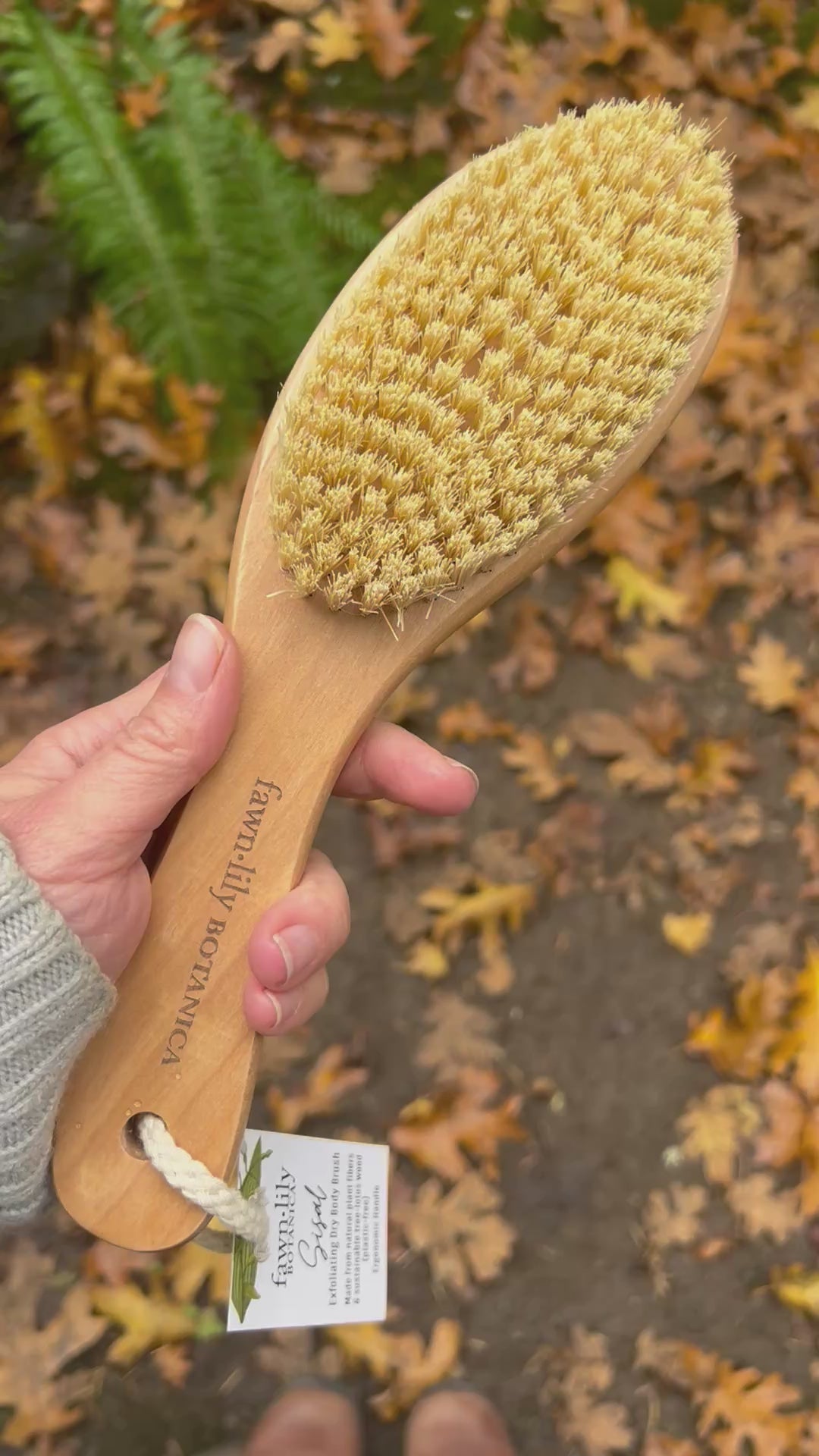 Fawn Lily Botanica | Lotus Wood and Sisal Dry Brush video
