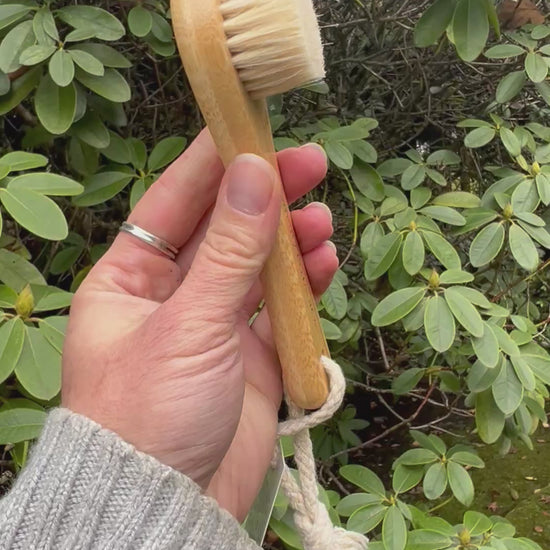 Fawn Lily Botanica | Facial Dry Brush video