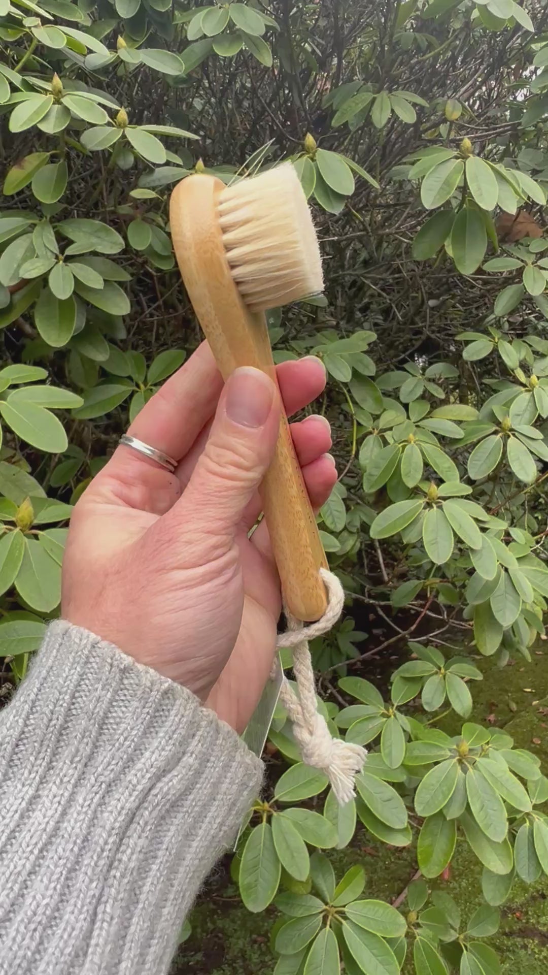 Fawn Lily Botanica | Facial Dry Brush video