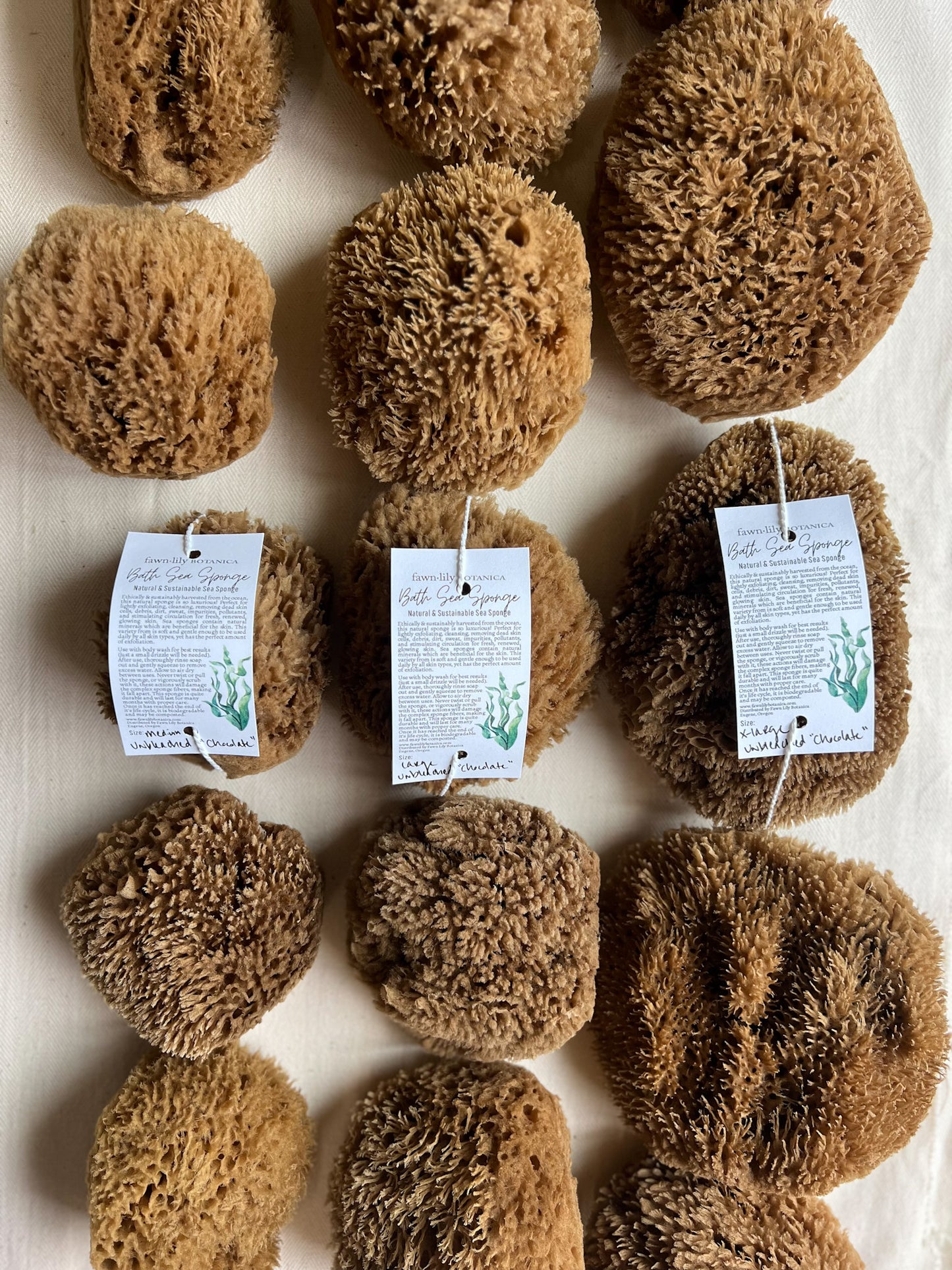 Fawn Lily Botanica | Unbleached Chocolate Bath Sea Sponges, three sizes medium, large, extra large bath sea sponges