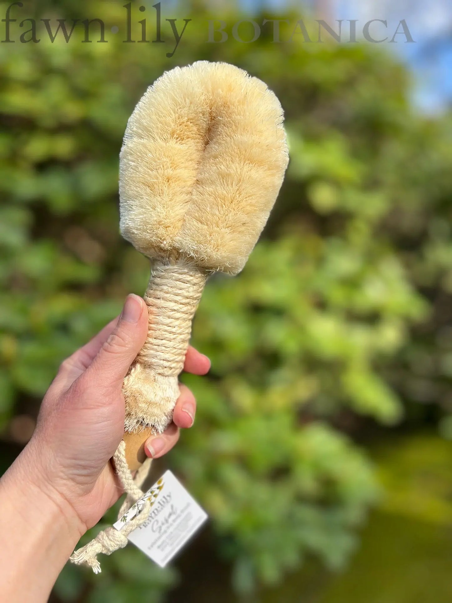 SISAL BOTANICAL BODY BRUSH | Fawn Lily Botanica ~ Natural, sustainable sisal body brush for dry brushing and exfoliation. Sweep away dead skin for fresh, smooth, glowing skin. Plastic-free, vegan.