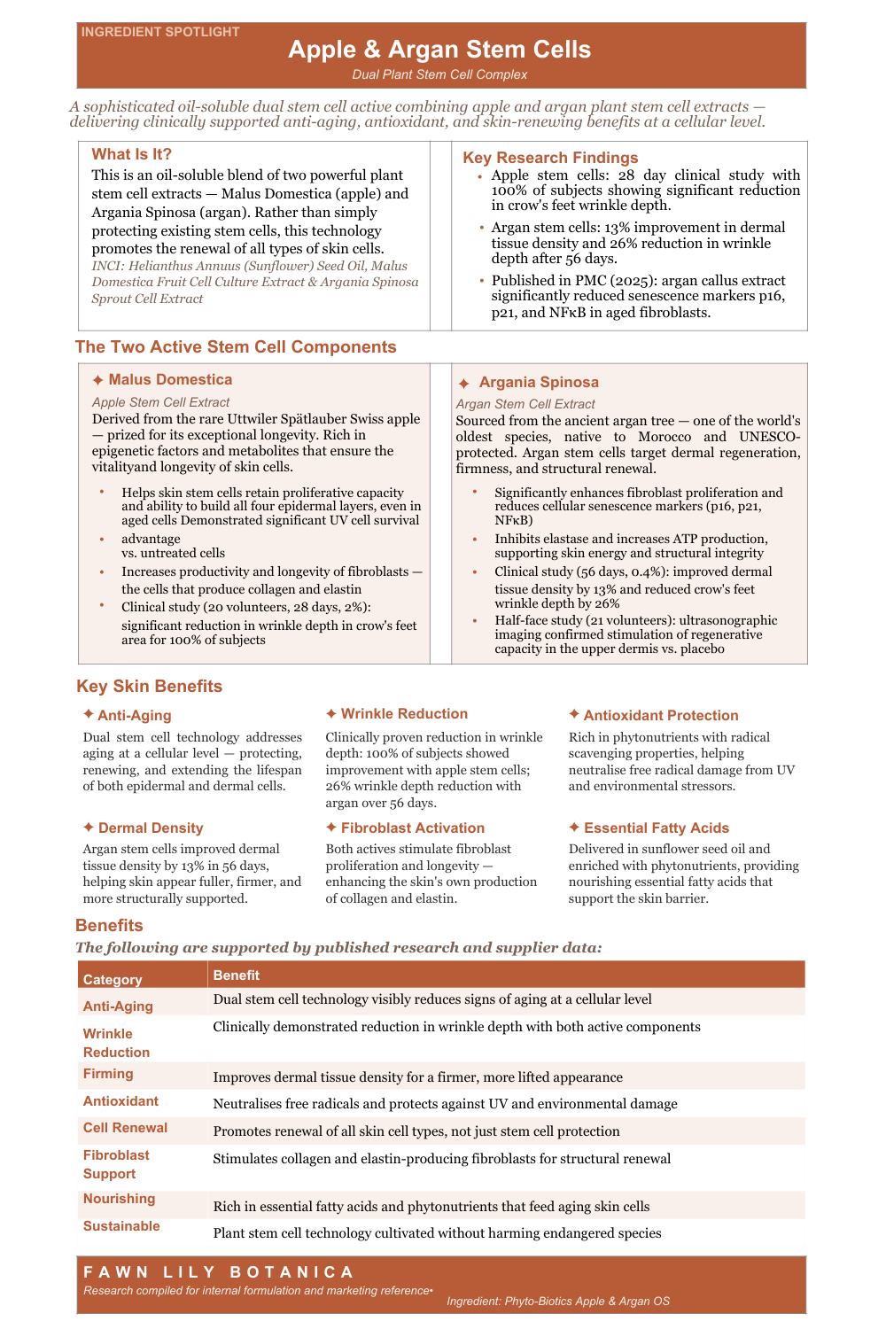 SEASONAL FACIAL SERUM - LIMITED EDITION