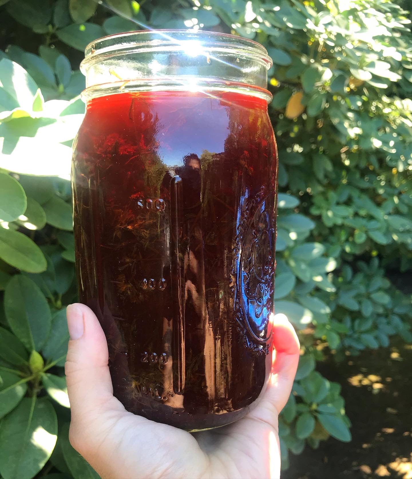 SEASONAL FACIAL SERUM - LIMITED EDITION