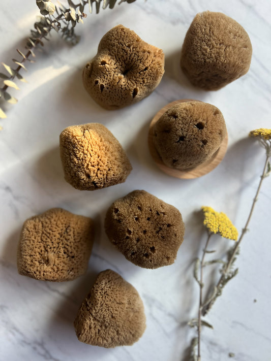 Fawn Lily Botanica | Unbleached Silk Facial Sponges, premium whole quality, sustainable, eco, natural color
