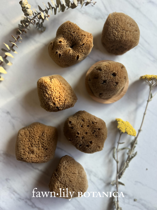 Fawn Lily Botanica | Unbleached Silk Facial Sponges, premium whole quality, sustainable, eco, natural color, soft exfoliation