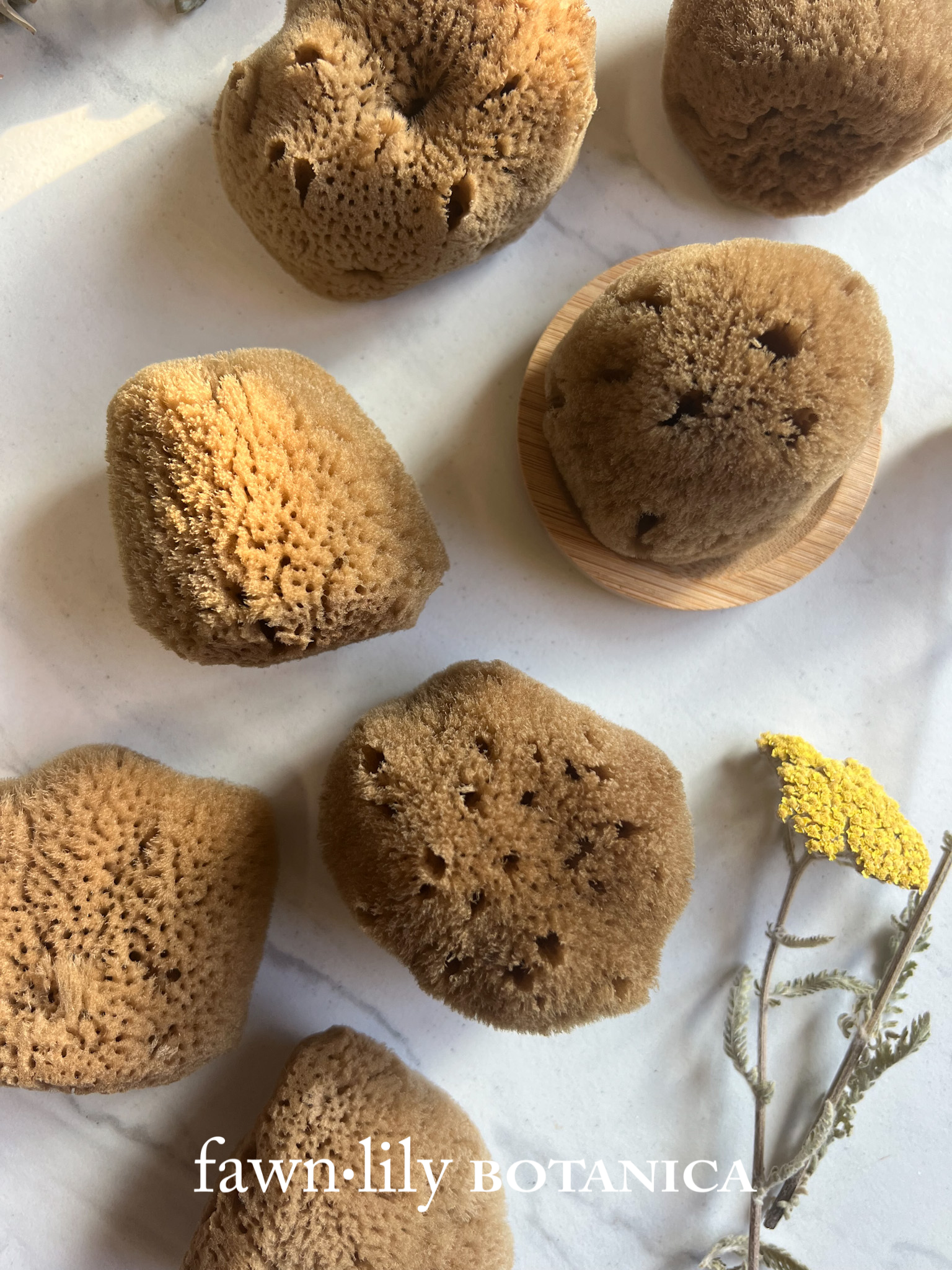 Fawn Lily Botanica | Unbleached Silk Facial Sponges, premium quality, natural color, soft and gentle facial sponge