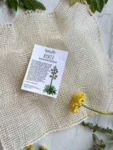 Load image into Gallery viewer, Ayate Botanical Agave Fiber Washcloth | Fawn Lily Botanica - natural eco-friendly, sustainable, biodegradable botanical plant-based washcloth for body and bathing.
