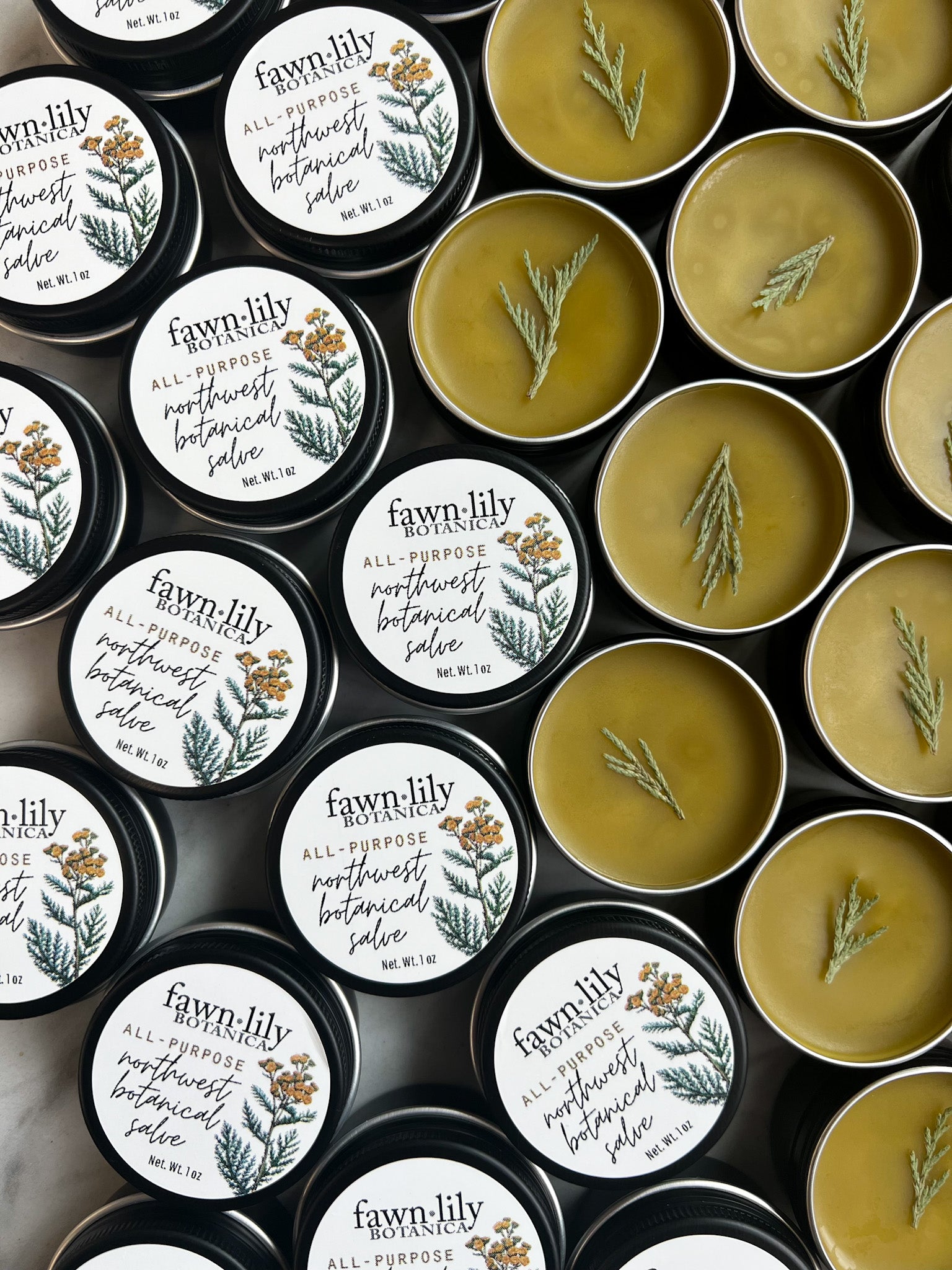 ALL-PURPOSE BOTANICAL SALVE | Fawn Lily Botanica - An ultra-nourishing botanical salve balm made from fresh herbs, flowers, wild plants, and tree tips harvested from the Pacific Northwest bioregion!